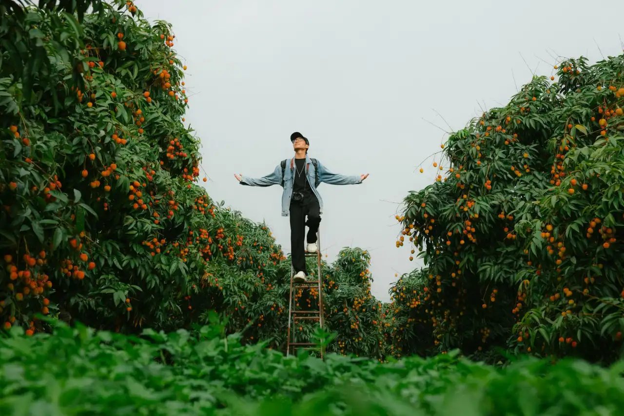 重庆商业综合体机电安装与消防工程协同设计要点分析