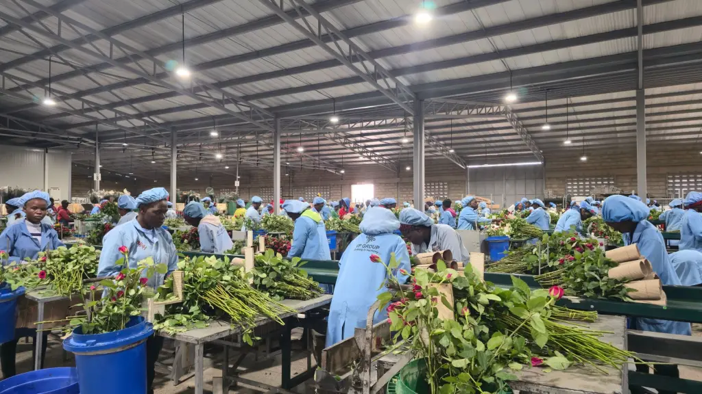 西南地区消防工程验收标准更新对智能化工程配套的新要求