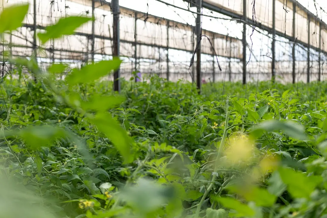 商业综合体装修装饰与机电安装工程的协同施工要点解析