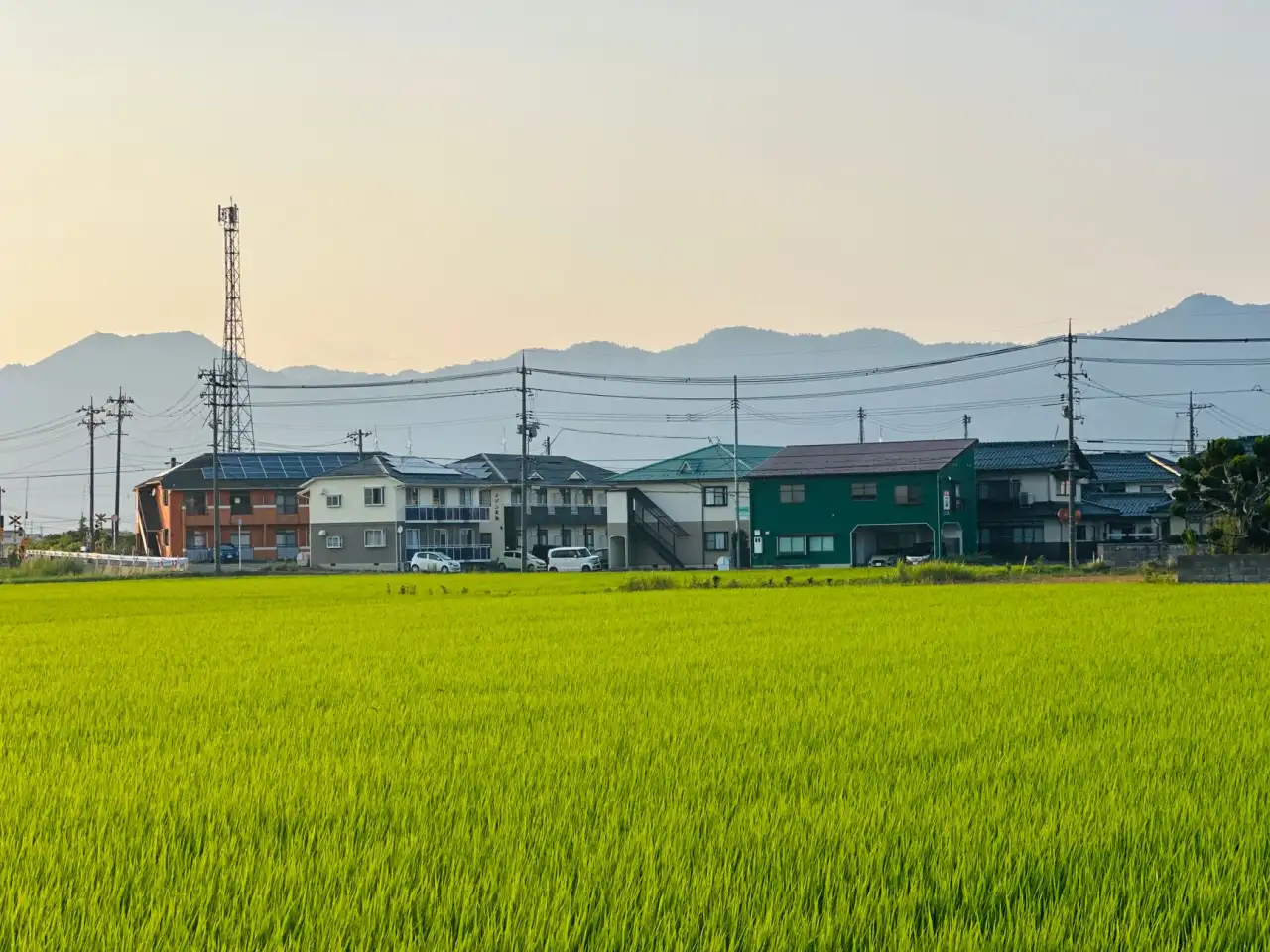 西南地区消防工程验收标准更新对建筑装修装饰施工的影响分析