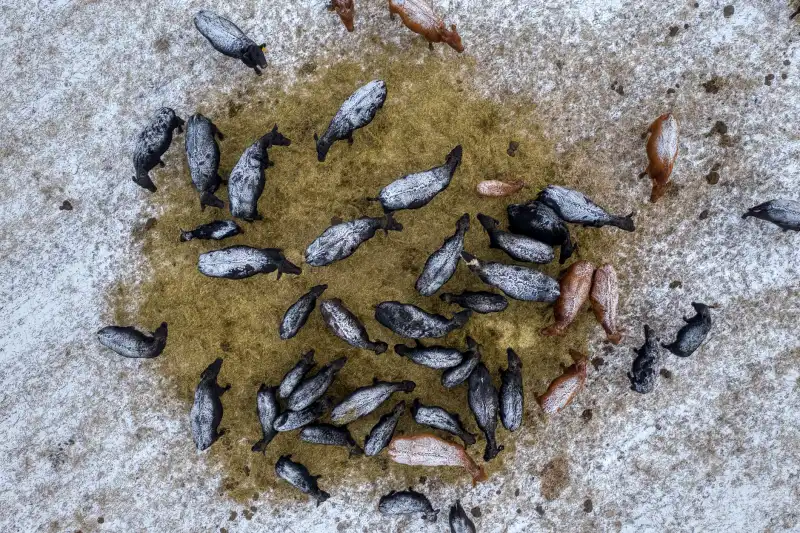 机电安装工程在住宅项目中的应用：从消防系统到智能化工程的协同设计